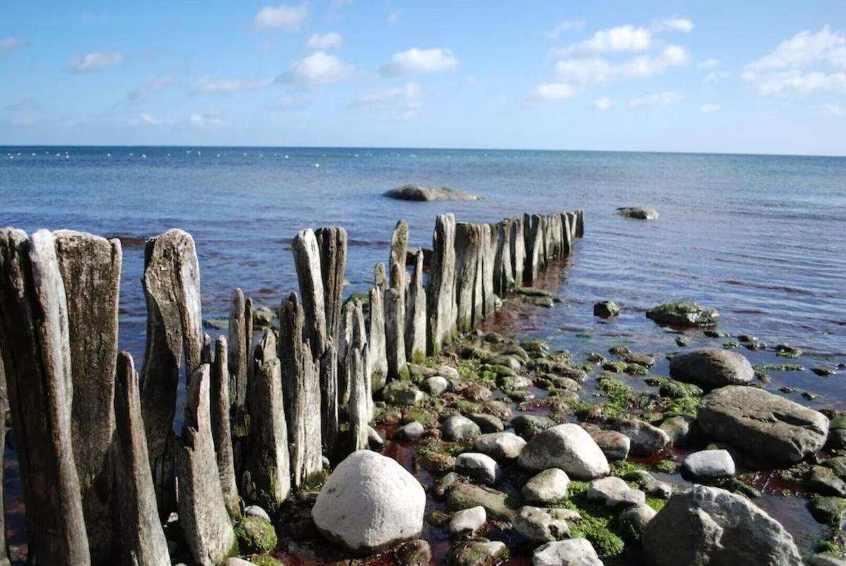 Seemoewe 1 Süssau Exteriör bild